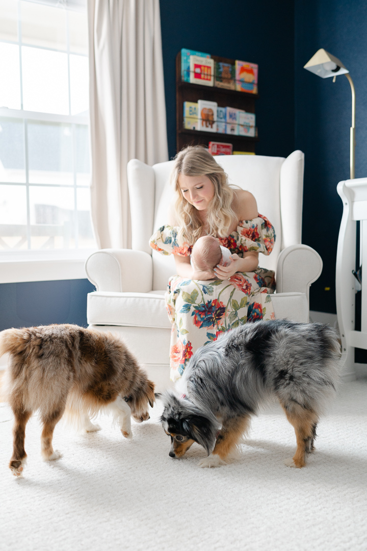 A mother sits in a rocking chair near a large, bright window, holding her newborn baby in her arms. In the foreground, two family dogs rest on the floor, completing the intimate and loving family moment. Sunlight streams through the window, creating a soft and peaceful atmosphere. This heartwarming lifestyle newborn session was taken by an NWA photographer, capturing the beauty of motherhood and family bonds.