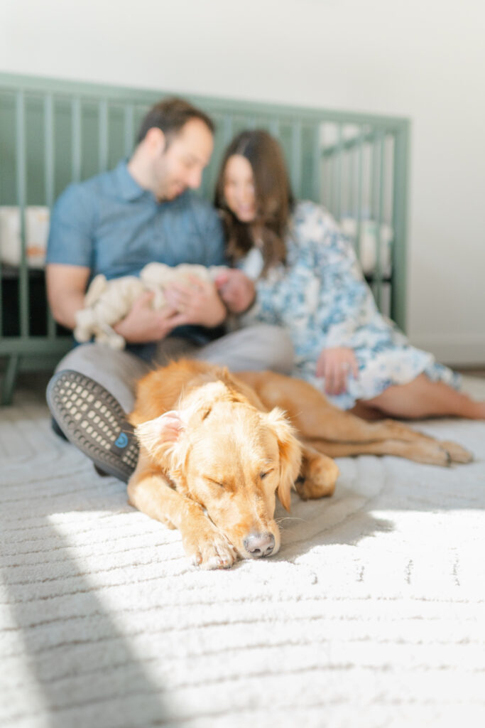 Lifestyle newborn session in the baby's nursery, photographed by a newborn photographer.
