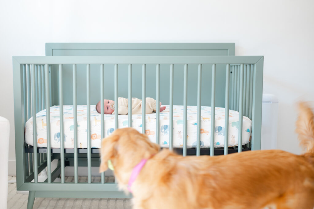 Newborn photographer captures a peaceful baby resting in a cozy, light-filled nursery.