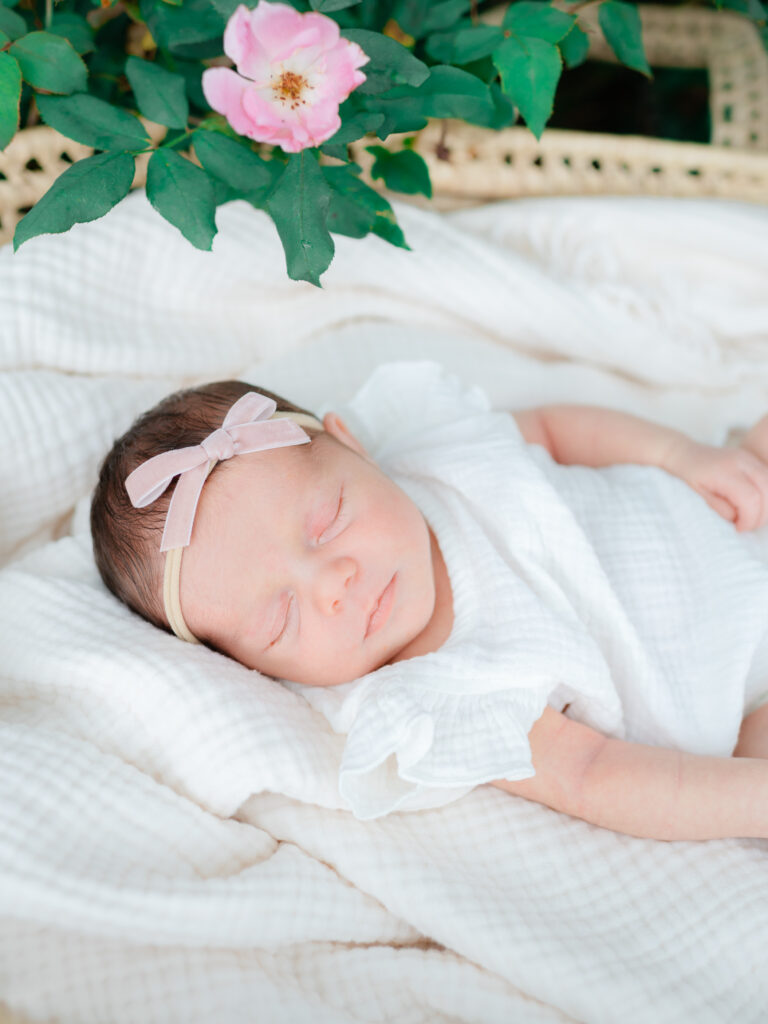 Close-up of baby Gigi resting in a bassinet surrounded by roses during an outdoor newborn session at the Botanical Garden of the Ozarks.