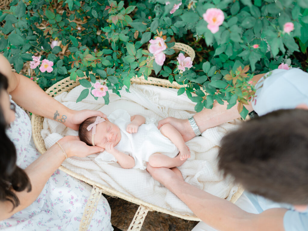 Baby Gigi sleeps peacefully under soft morning light at the Botanical Garden of the Ozarks during her outdoor newborn session.